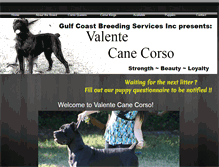 Tablet Screenshot of gulfcoastcorso.com